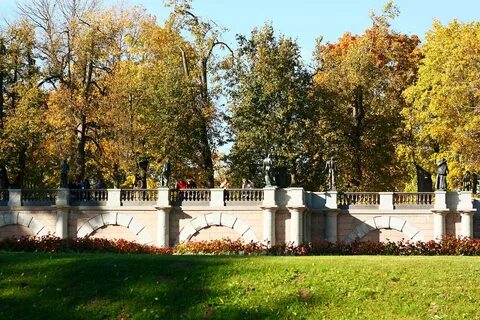 Царское село чаща