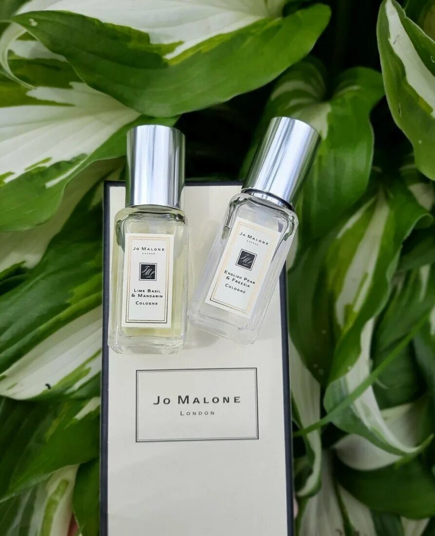 Джо Малон лайм базилик. Джо Малон Lime Basil Mandarin. Одеколон Jo Malone Lime Basil Mandarin 100 мл. Jo Malone лайм базилик и мандарин. Лайм базилик мандарин