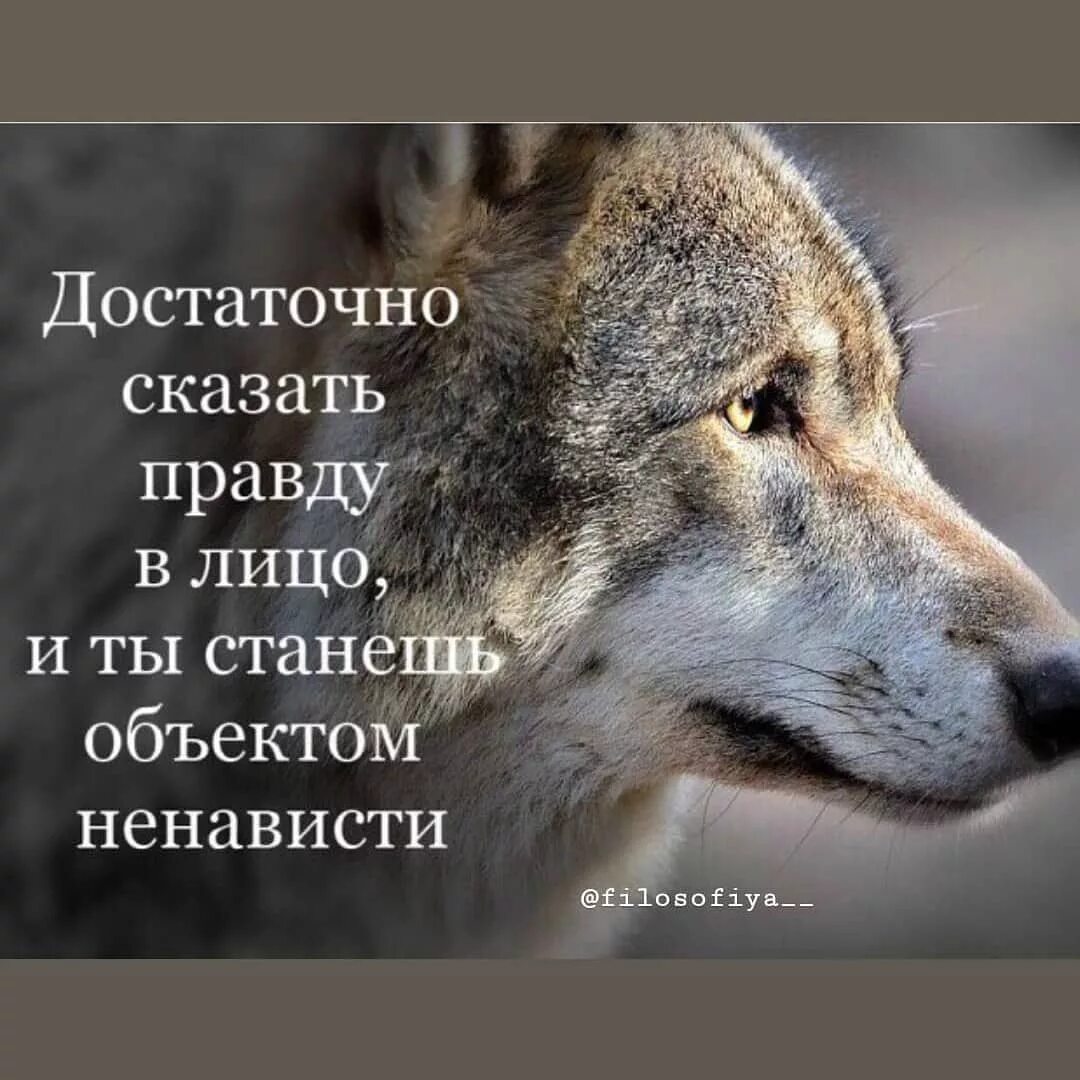 Все стали говорить правду. Сказать правду в лицо. Достаточно сказать правду. Мудрые цитаты. Сказать правду в глаза.