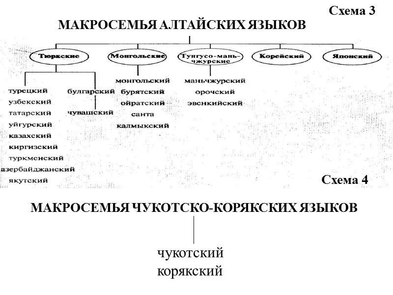 Алтайская семья языков таблица. Алтайская семья языков схема. Алтайская языковая семья языки схема. Макросемьи языков. Какие группы алтайской семьи