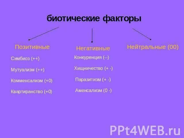 4 примера биотических факторов