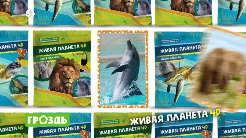 Живая планета 4d книга. Живая планета 4d наклейки 14,15,16 распечатать. Альбом живая планета 4d. Живая планета 4. Живая планета 4.