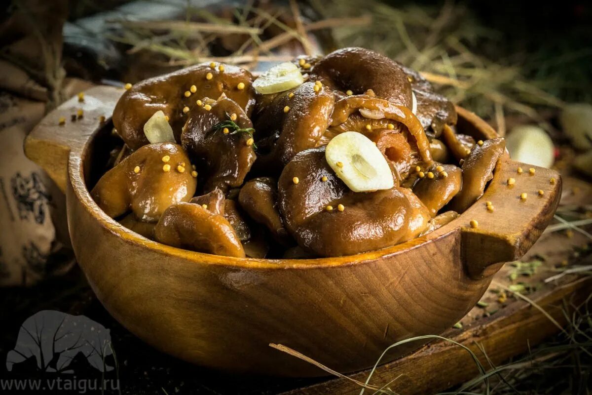 Маринованные фото. Свинушки маринованные. Свинушки грибы маринованные. Грибы грузди соленые. Свинушки соленые.