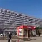 Просвещения 24 2