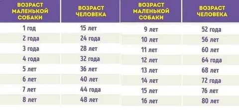 До скольки лет живут собаки