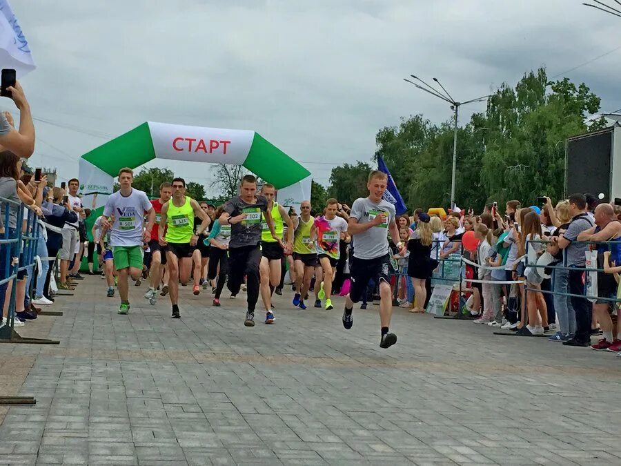 По берегу орел. Птицы семейства орлиных. По берегу орел. Благотворительный забег. Зеленый марафон.