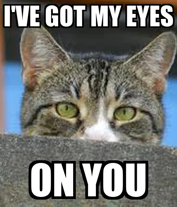 I ve got my feel. I got my Eyes on you. I've got my Eye on you. I've got ... Eyes. I've got my Eye on you текст.