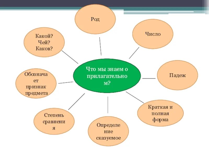 Что мы знаем о прилагательном. Имя прилагательное схема. Схема имя прилагательное 6 класс. Имя прилагательное схема 5 класс.