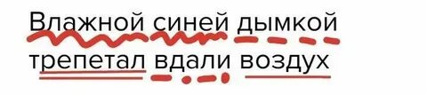 Трепеща разбор