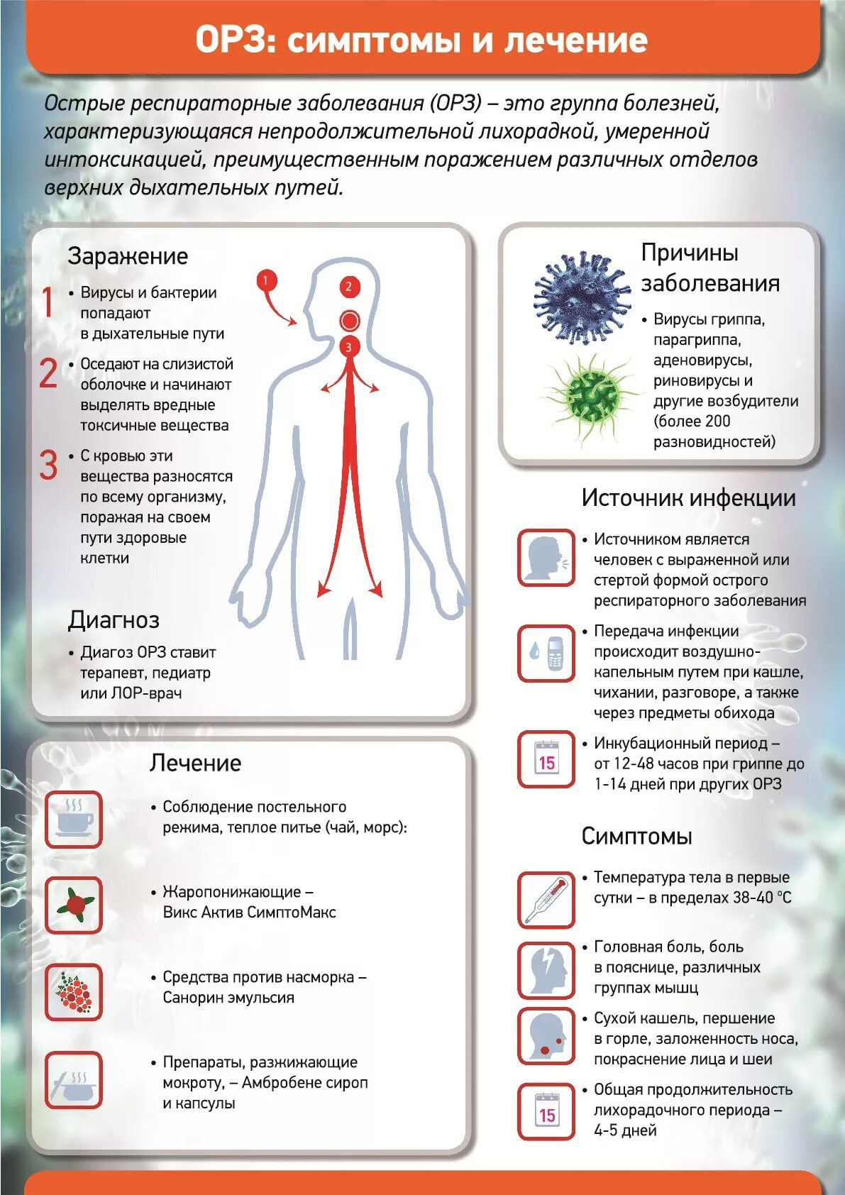 Что делать при симптомах орви