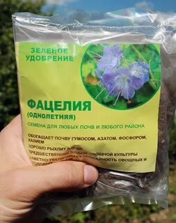 Фацелия семена для чего применяют