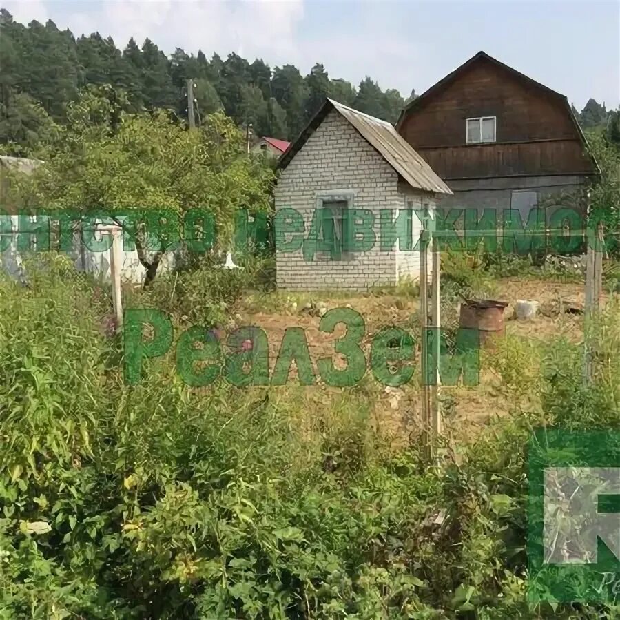 Дача в снт родничок. Садоводческое некоммерческое товарищество кончаловские горы. Родничок обнинск. Снт родничок 5 екатеринбург. Садовое сообщество близко аэрлсхймка\.