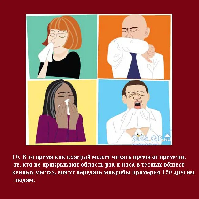 Утром много чихаю. Интересные факты о чихании. Чихание интересный факты о человеке. Факты о чихание. Интересные факты о чихании и кашле.