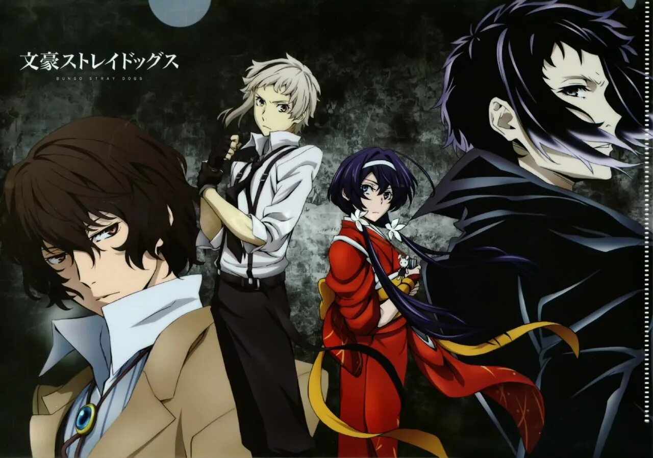 Бродячие псы бунго. Bungou stray. Осаму дазай. Великий из бродячих псов 5. Bungou stray.