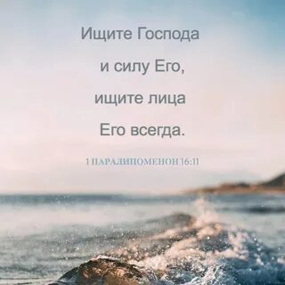 Ищу господу