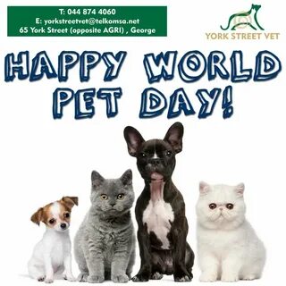 Pet world