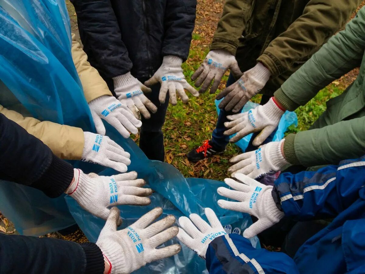 Ссылка волонтера. Волонтеры природы. Экологическое волонтерство. Волонтерская деятельность. Добровольческая деятельность.