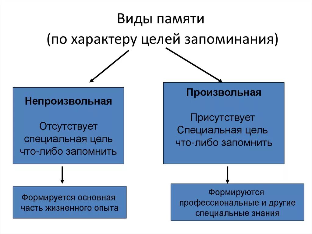 Память формы виды памяти. Виды произвольной памяти. Формы памяти произвольная и непроизвольная. Произвольный Тип памяти. Виды памяти непроизвольная.