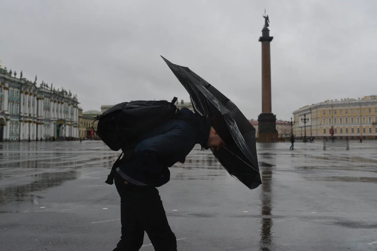 Возле представлявшего сильно