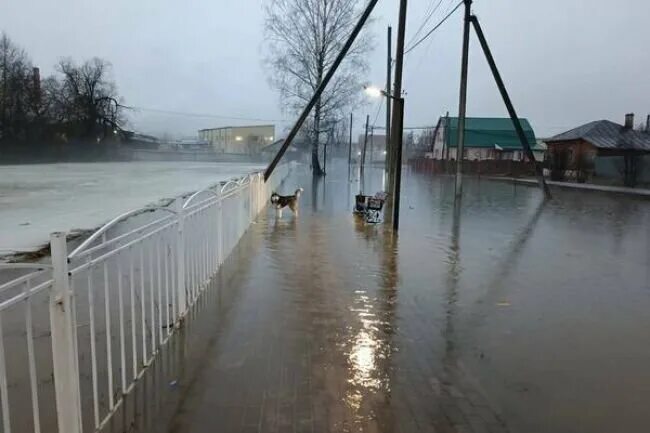 Паводок в калужской области сегодня. Половодье в Полотняном заводе. Разлив реки Суходрев Полотняный завод. Полотняный завод затопило. Полотняный завод паводок.