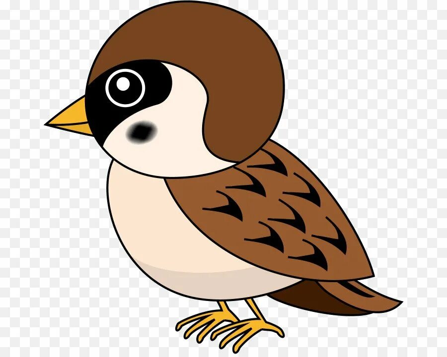 воробушек детский. воробей рисунок. воробушек из мультика. воробьи мультяшные. воробей для детей.