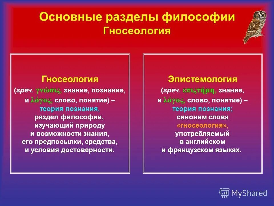 Основные разделы философии