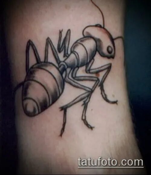Ant ink
