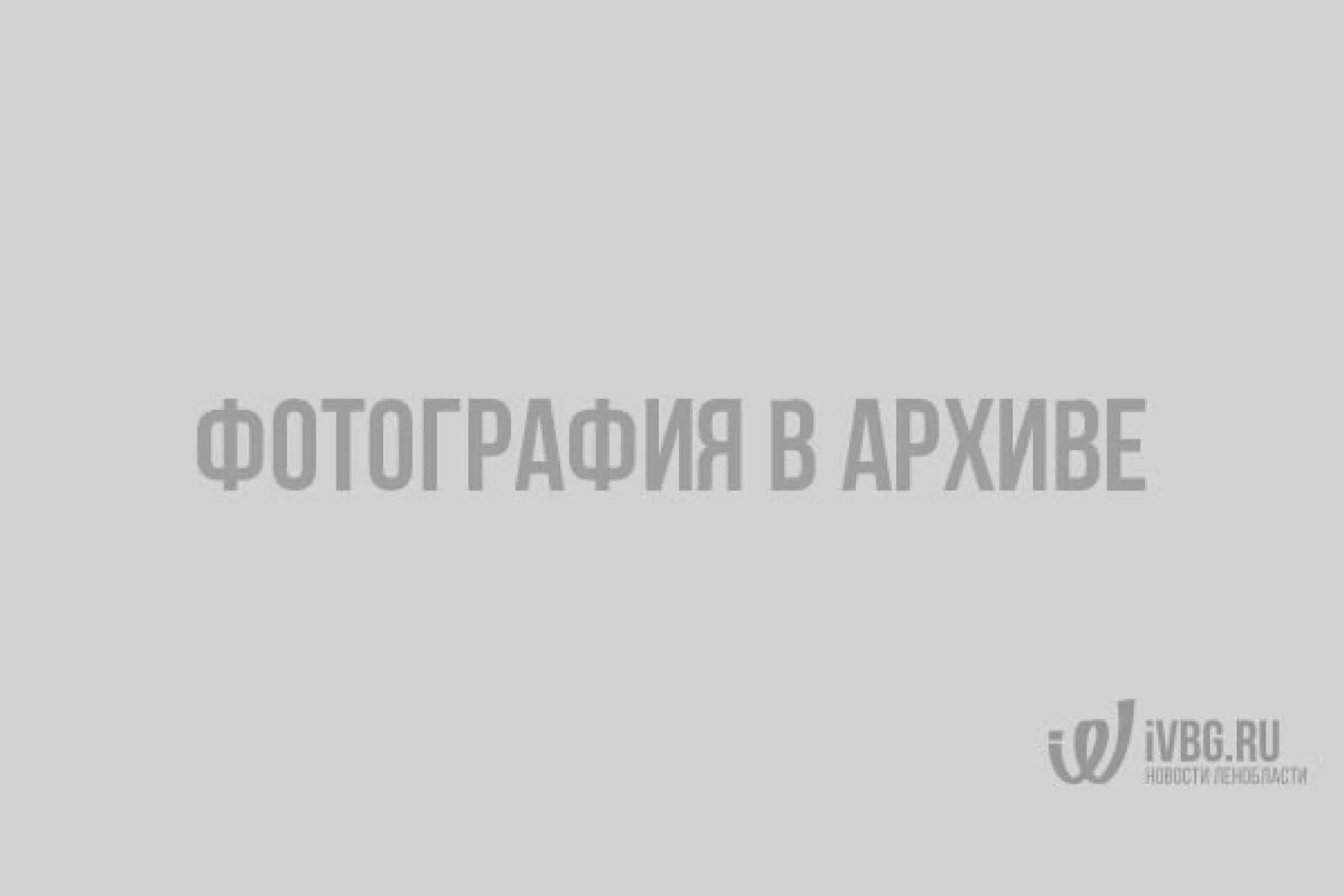 3302-6800010. 1450. Ba10324af sega. Тц фрегат белгород. Дровокол чемпион champion ls5001н.