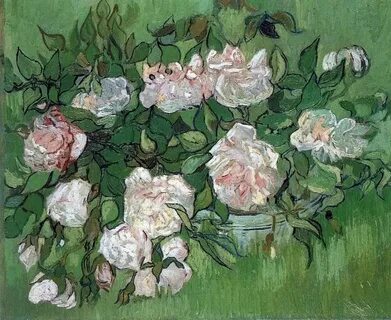 Van rose