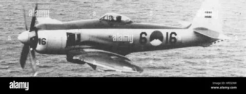 Sea fury