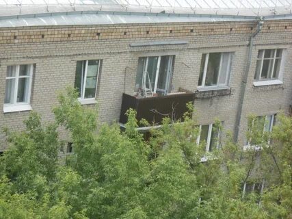 Диспетчерская 24
