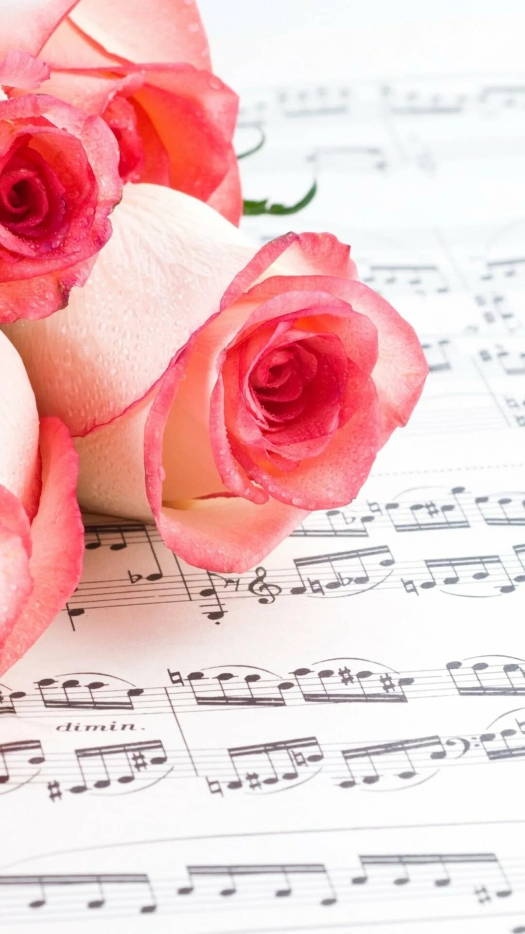 Музыкальная открыточка. Цветы для музыканта. Красивые цветы с нотками. Открытки с нотами и цветами. Музыкальный цветок.