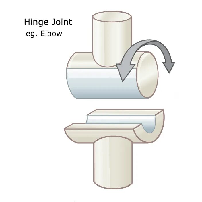 Allow joining. Муфта Elbow Joint. Joint-LK лампа Joint. 3d схема Joint. Hinge frame Joint Concrete.