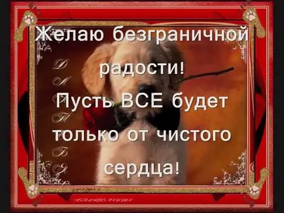 Желаем безграничной радости. Желаем безграничной радости