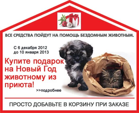 Помощь бездомным животным елец
