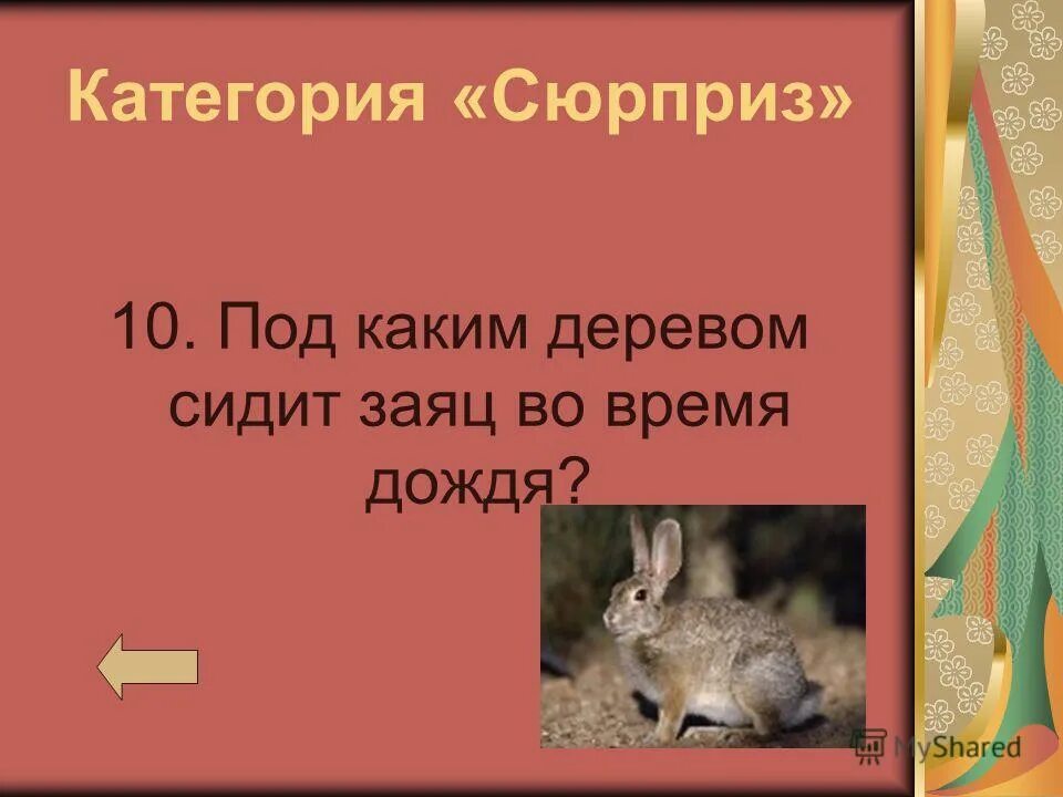 Заяц прячется. Заяц сидит под деревом. Заяц под кустом. Заяц сидит под деревом. Под каким деревом сидит заяц когда идет дождь.