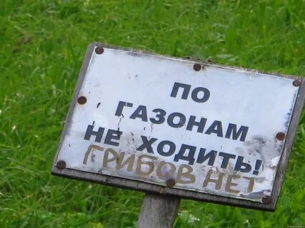 Совсем недалеко