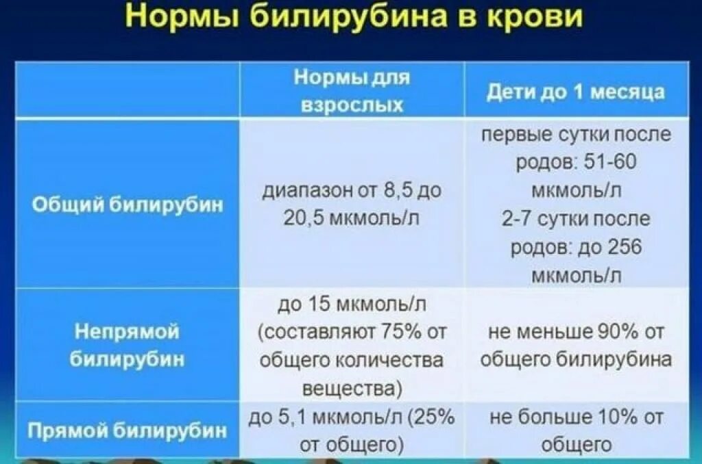 Билирубин в год норма