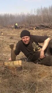 Хренов воронеж