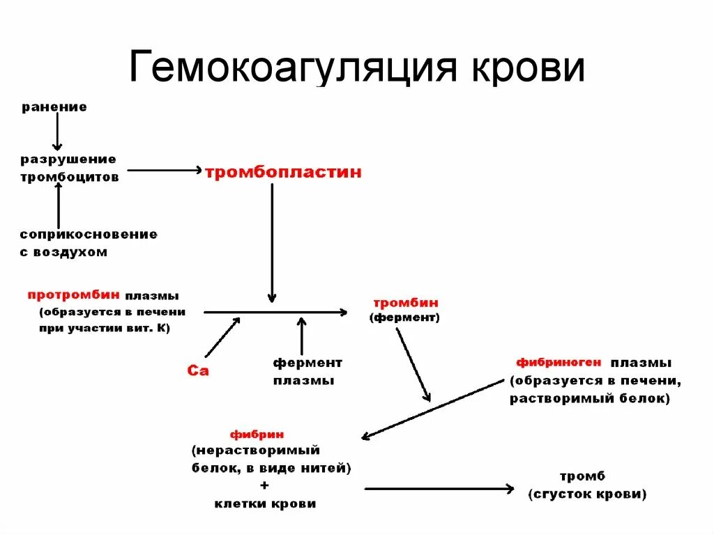 Факторы образования тромба