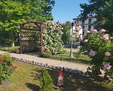 Платан витязево
