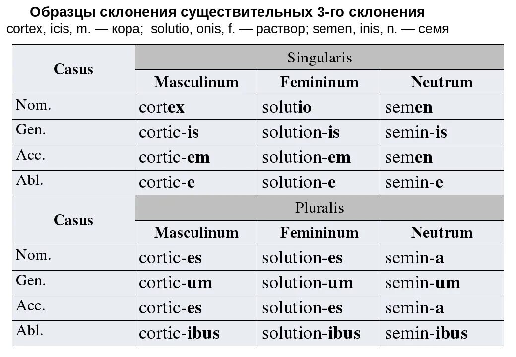 Склонение слова зайцев. 1 Склонение в латинском языке таблица. 3 Склонение имен существительных в латинском языке. 3 Склонение существительных латынь. Латинский 3 склонение таблица.