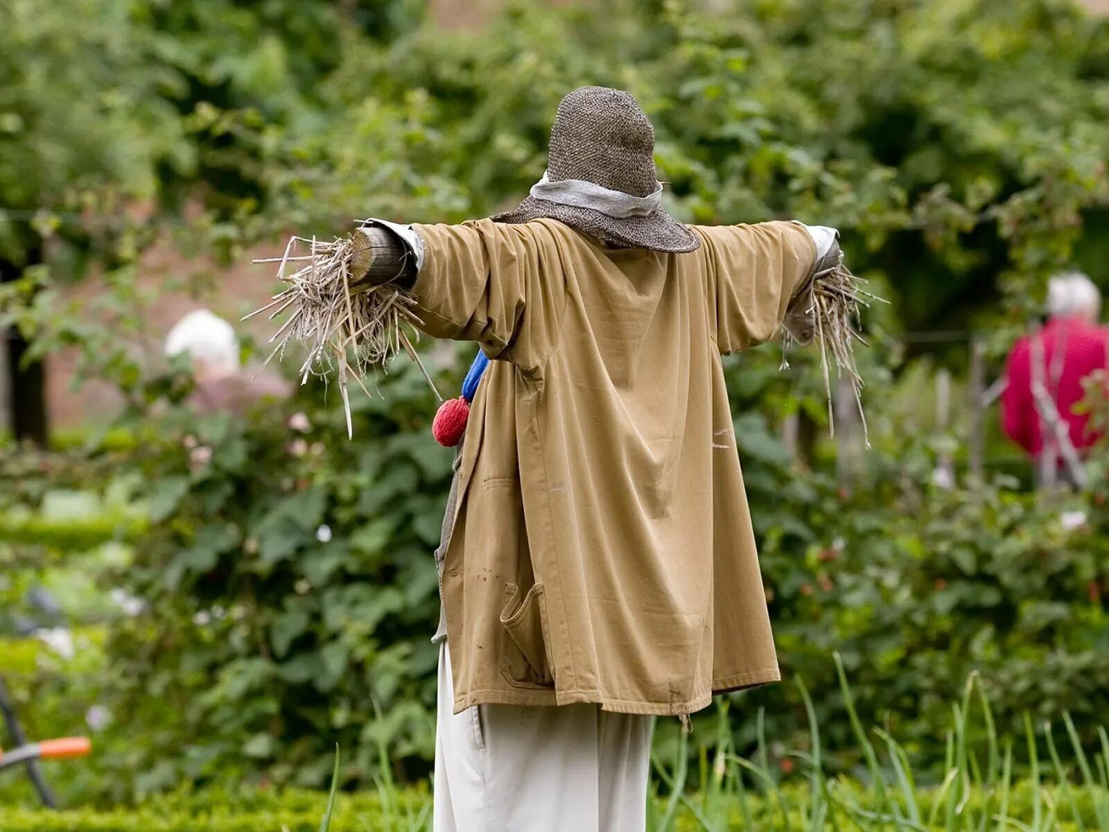 Scarecrow