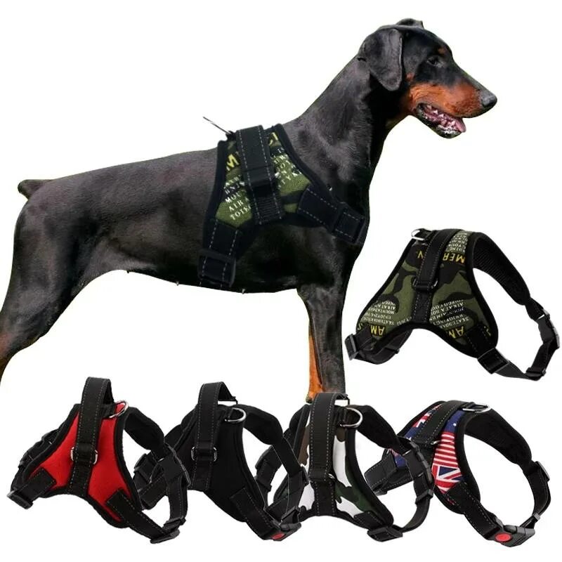 Купить шлейки для крупных пород. Rukka Solid harness шлейка 25мм. Шлейка p0034-05-l Pet servant. Шлейка Foxie Dog harness. Шлейки для собак doog Neoflex harness.