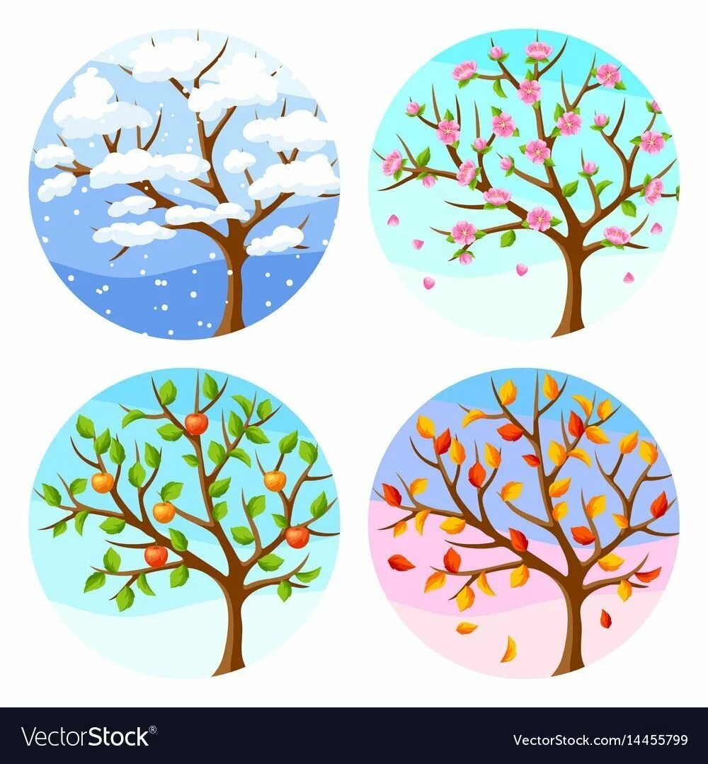 Яблоня в разные времена года. Изображения времен года для детей. Дерево летом осенью зимой и весной. Времена года на дереве.