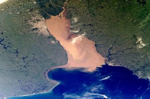 Устье реки парана