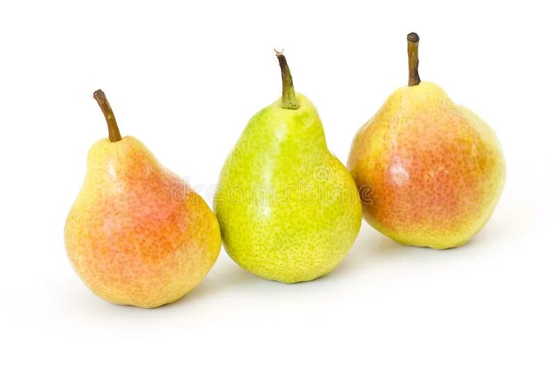 Груши вильямс пакхамс. Груши вильямс пакхамс. 4 груши. Груши вильямс пакхамс. Груша.