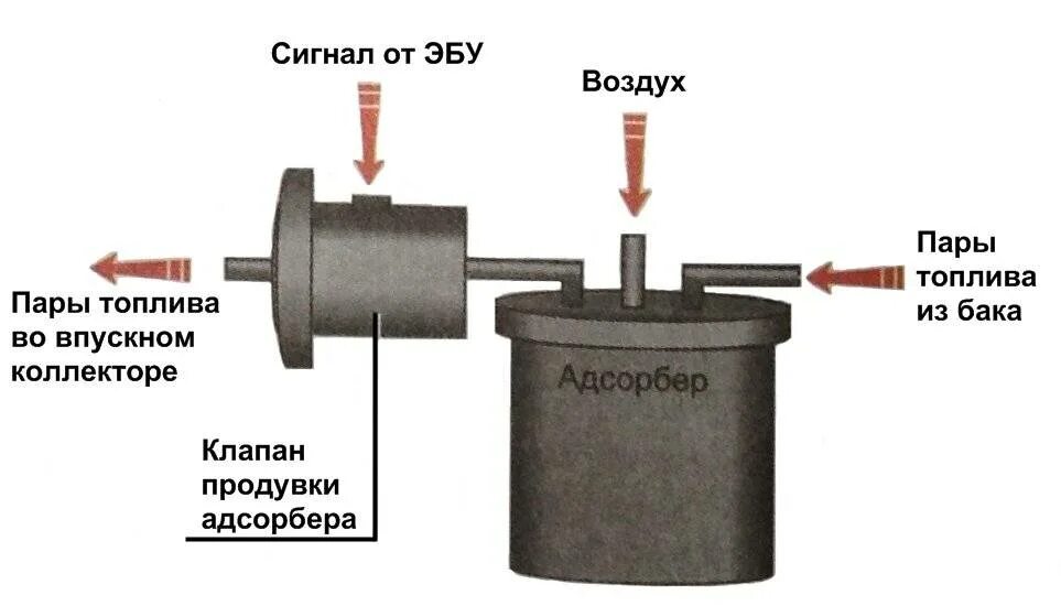 Клапан адсорбера ВАЗ 2110. Абсорбер ВАЗ 2112 16 клапанов. Топливный фильтр в клапан абсорбера ВАЗ. Клапан продувки адсорбера ВАЗ 2114. Что делает абсорбер