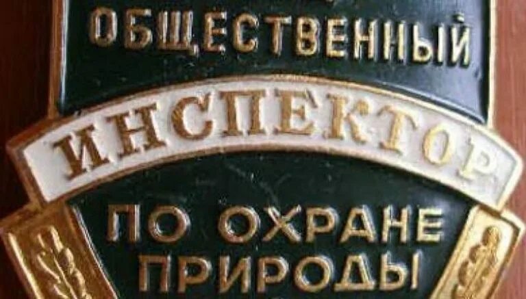 Комитет по охране природы. Общественный инспектор по охране окружающей среды. Общественный инспектор. Общественный инспектор по экологии это. Общественный инспектор в области охраны окружающей среды.