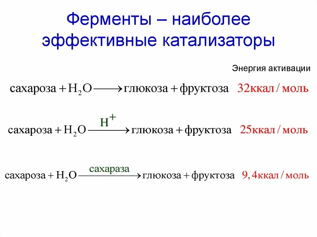 Свойства катализаторов ферментов. Свойства ферментов. Ферменты катализаторы. Характеристика ферментов. Сравнение ферментов и др катализаторов.